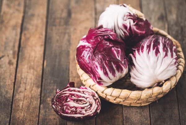 Radicchio 