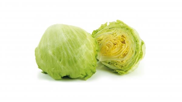 iceberg-lettuce