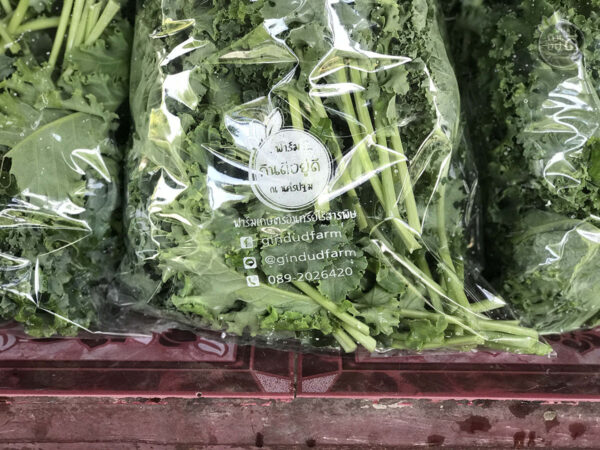 Kale คะน้าใบหยิก "ราชินีแห่งสีเขียว" ปลูกออร์แกนนิกในโรงเรือนปิด 0.5kg - Image 10